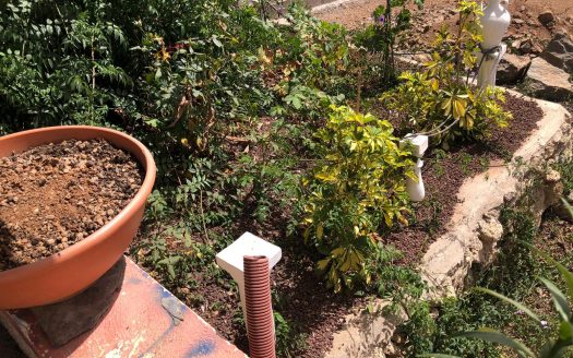 Finca en Tijoco Alto, Adeje