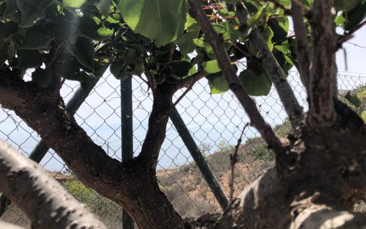 Finca en Tijoco Alto, Adeje