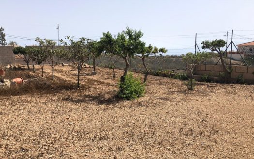Finca en Tijoco Alto, Adeje