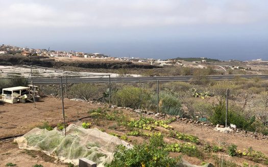 Finca rústica en subida a Vera de Erques, Guía de Isora
