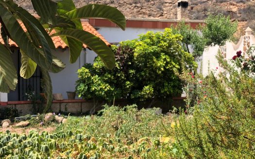 Finca en Tijoco Alto, Adeje