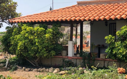 Finca en Tijoco Alto, Adeje