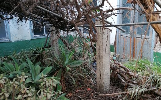 Casa antigua canaria en Granadilla de Abona