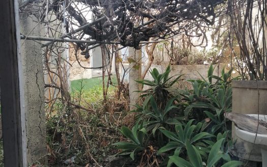 Casa antigua canaria en Granadilla de Abona