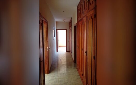 Finca con casas en Hoya Negra, Grandilla de Abona