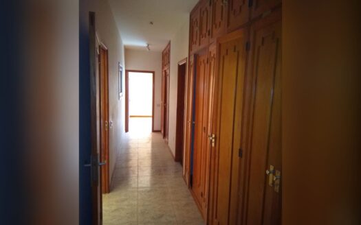 Finca con casas en Hoya Negra, Grandilla de Abona