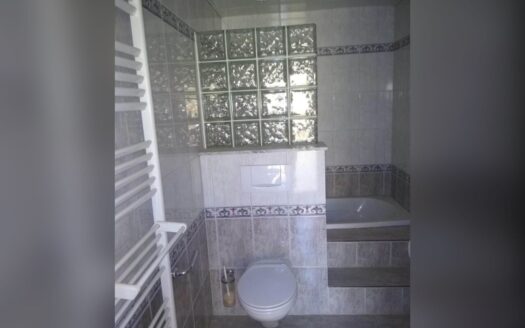 Finca con casas en Hoya Negra, Grandilla de Abona