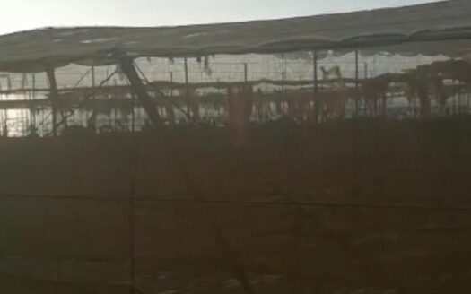 Finca agrícola en Guía de Isora