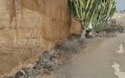 Finca agrícola en Guía de Isora