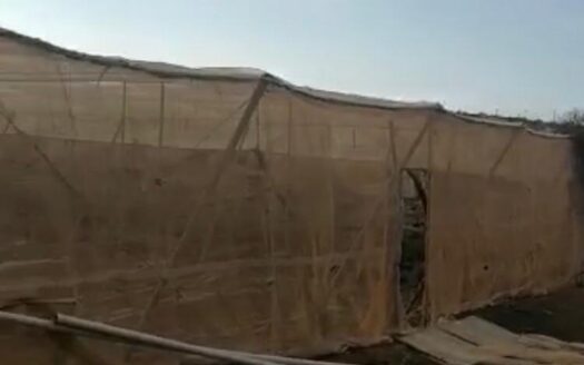 Finca agrícola en Guía de Isora