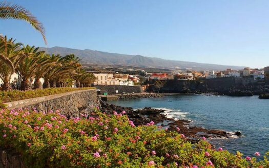 Chalet con finca en Alcalá, Guía de Isora