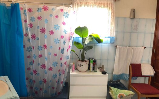 Fincas con casas en Alcalá, Guía de Isora