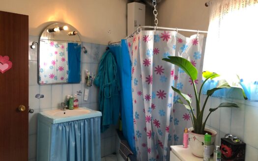 Fincas con casas en Alcalá, Guía de Isora