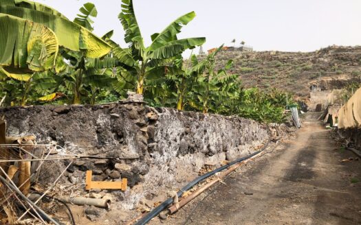 Fincas con casas en Alcalá, Guía de Isora