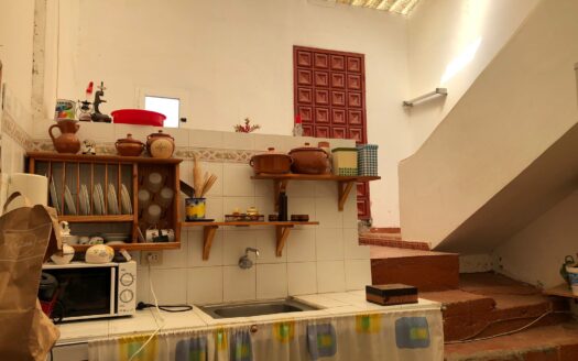 Fincas con casas en Alcalá, Guía de Isora