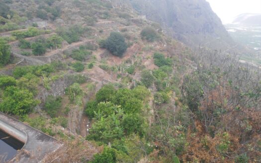 Védett: Finca rústica en el Tanque