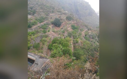 Védett: Finca rústica en el Tanque