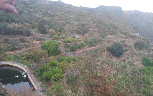 Védett: Finca rústica en el Tanque