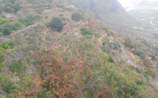 Védett: Finca rústica en el Tanque