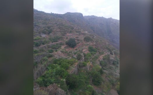 Védett: Finca rústica en el Tanque