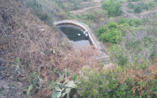 Védett: Finca rústica en el Tanque