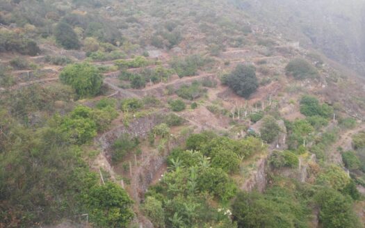 Védett: Finca rústica en el Tanque