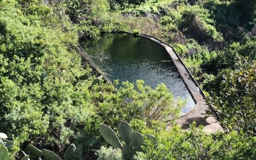 Védett: Finca rústica en el Tanque