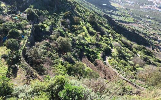 Védett: Finca rústica en el Tanque