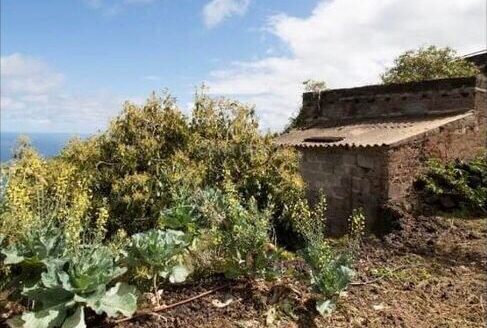 Védett: Finca rústica en el Tanque