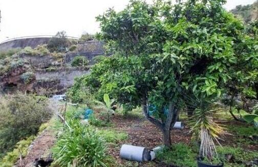 Védett: Finca rústica en el Tanque