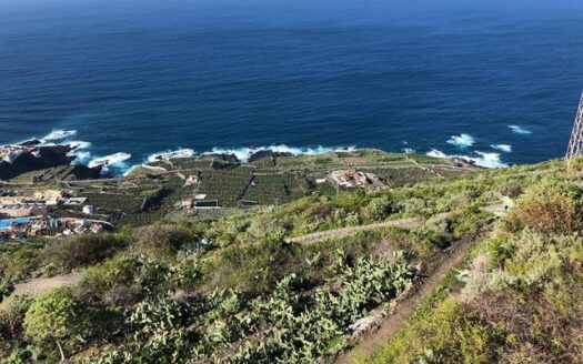 Védett: Finca rústica en el Tanque